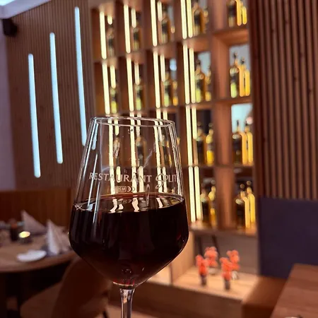 艾梅里希斯达德特酒店 酒店 艾默里奇